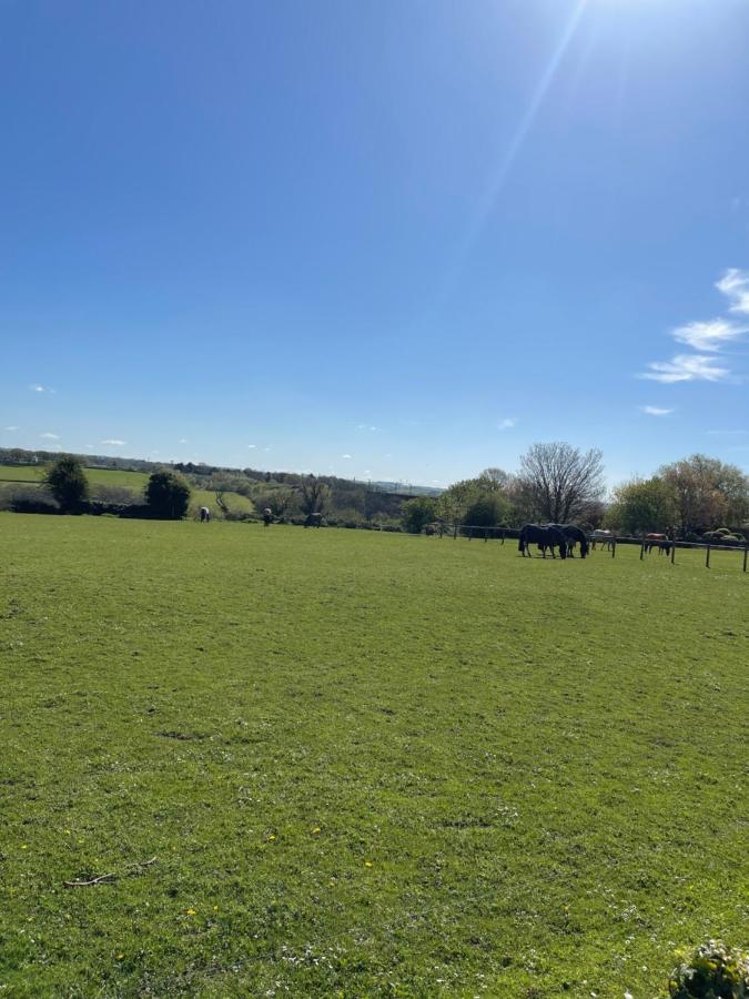 Harcombe Barn Near Bristol Villa Екстериор снимка
